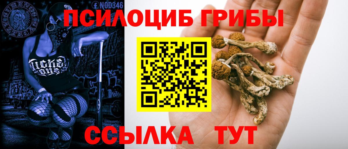 Галлюциногенные грибы Cubensis Архангельск